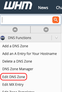 selecciona editar zona de dns