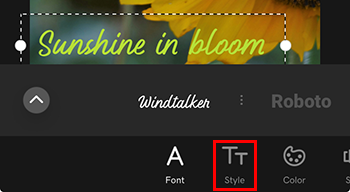 Style text