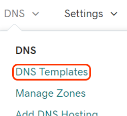 DNS 템플릿 메뉴 옵션
