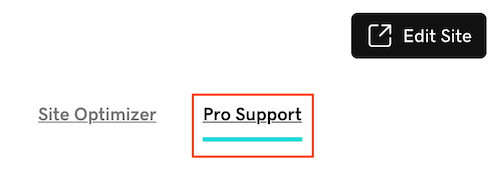 Select the Pro Support tab