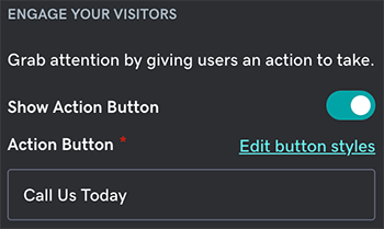 Show action button toggle and action button's description box.