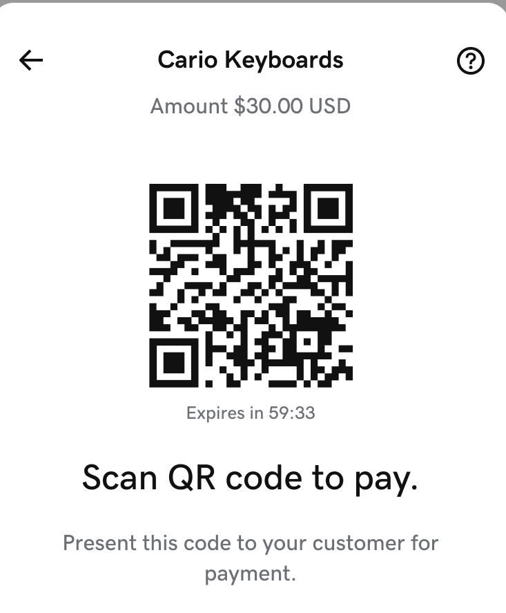 Godaddy Payments app QR code for the customer to scan