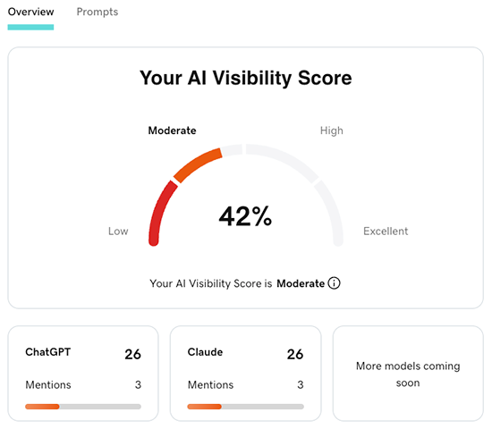 Overview tab where your AI visibility score shows