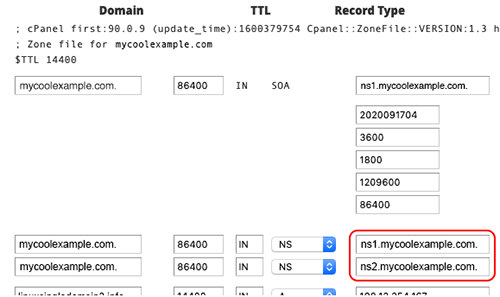 enter name server info