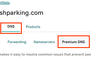 select premium dns tab