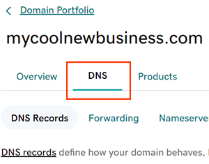 點選「DNS」標籤