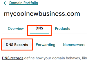 Wählen Sie das Register DNS