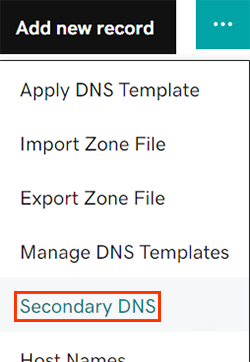 выберите вторичный DNS