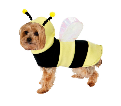 bumble bee halloween dog costume