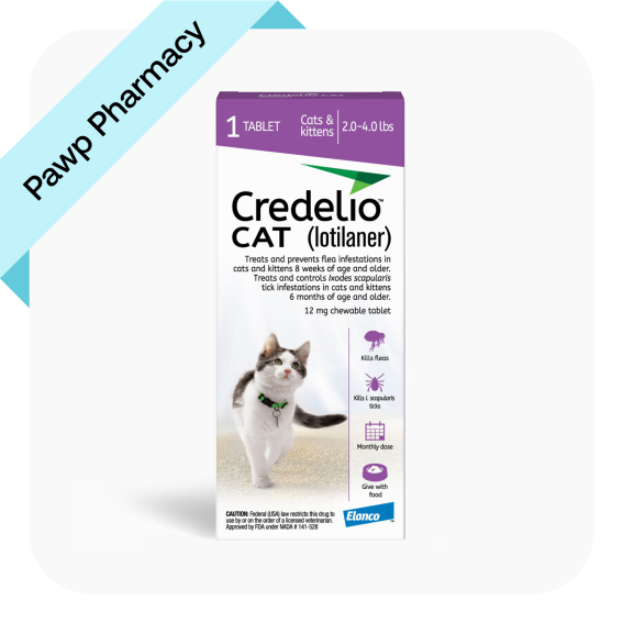 credelio-for-cats-what-is-it-how-to-get-an-online-prescription-for