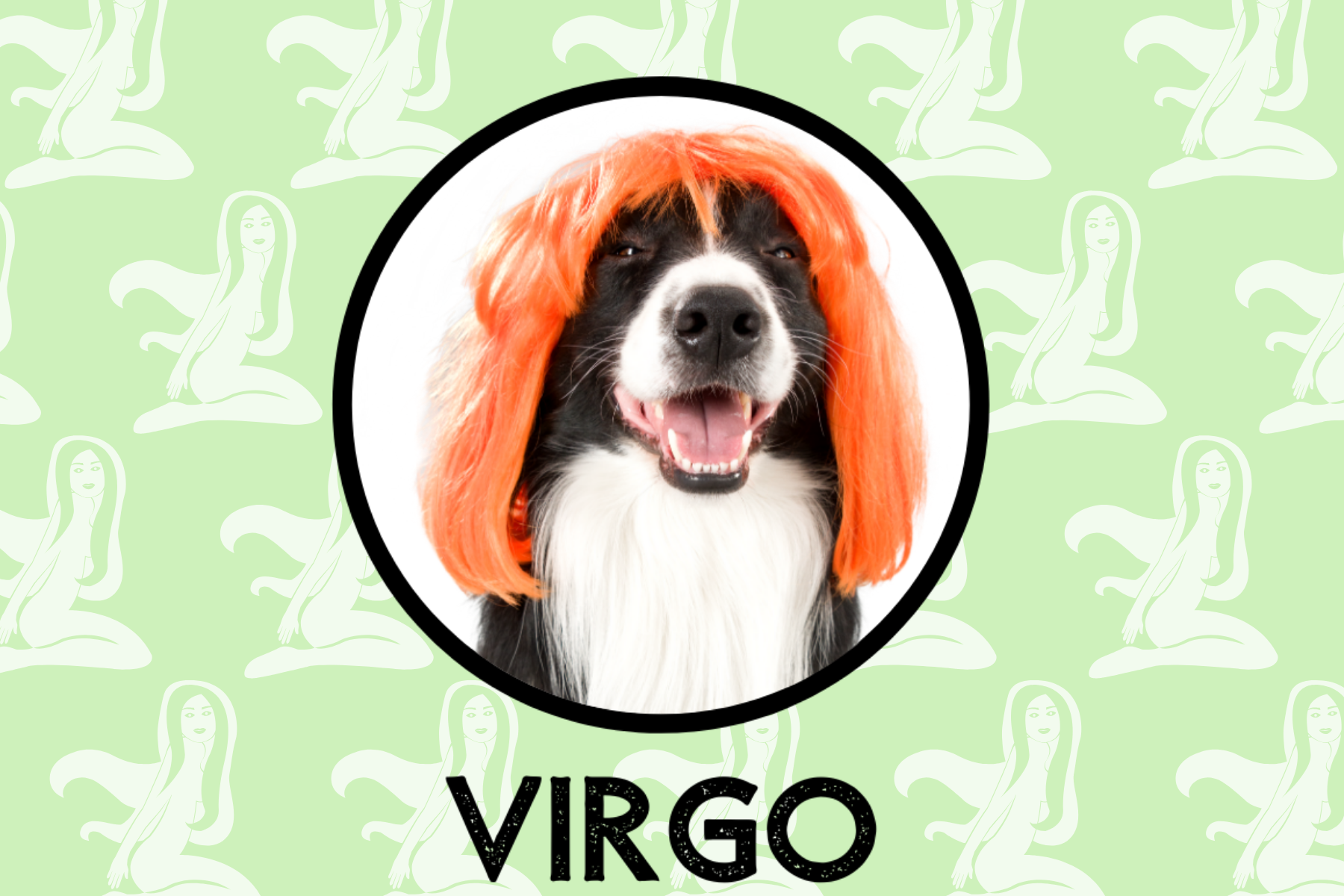 Virgo Dog Personality What Being A Virgo Says About Your Dog