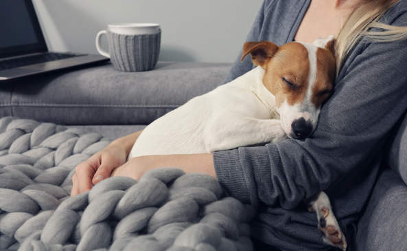 Canva - Cozy home, woman covered with warm blanket watching movie, hugging sleeping dog. Relax, carefree, comfort lifestyle.
