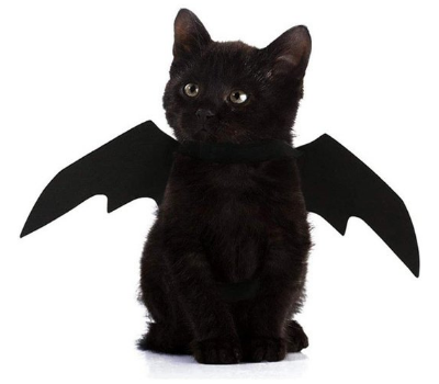 bat wings cat halloween costume