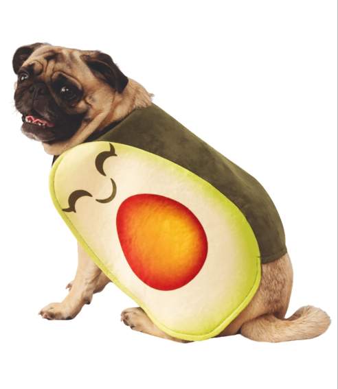 avocado dog costume
