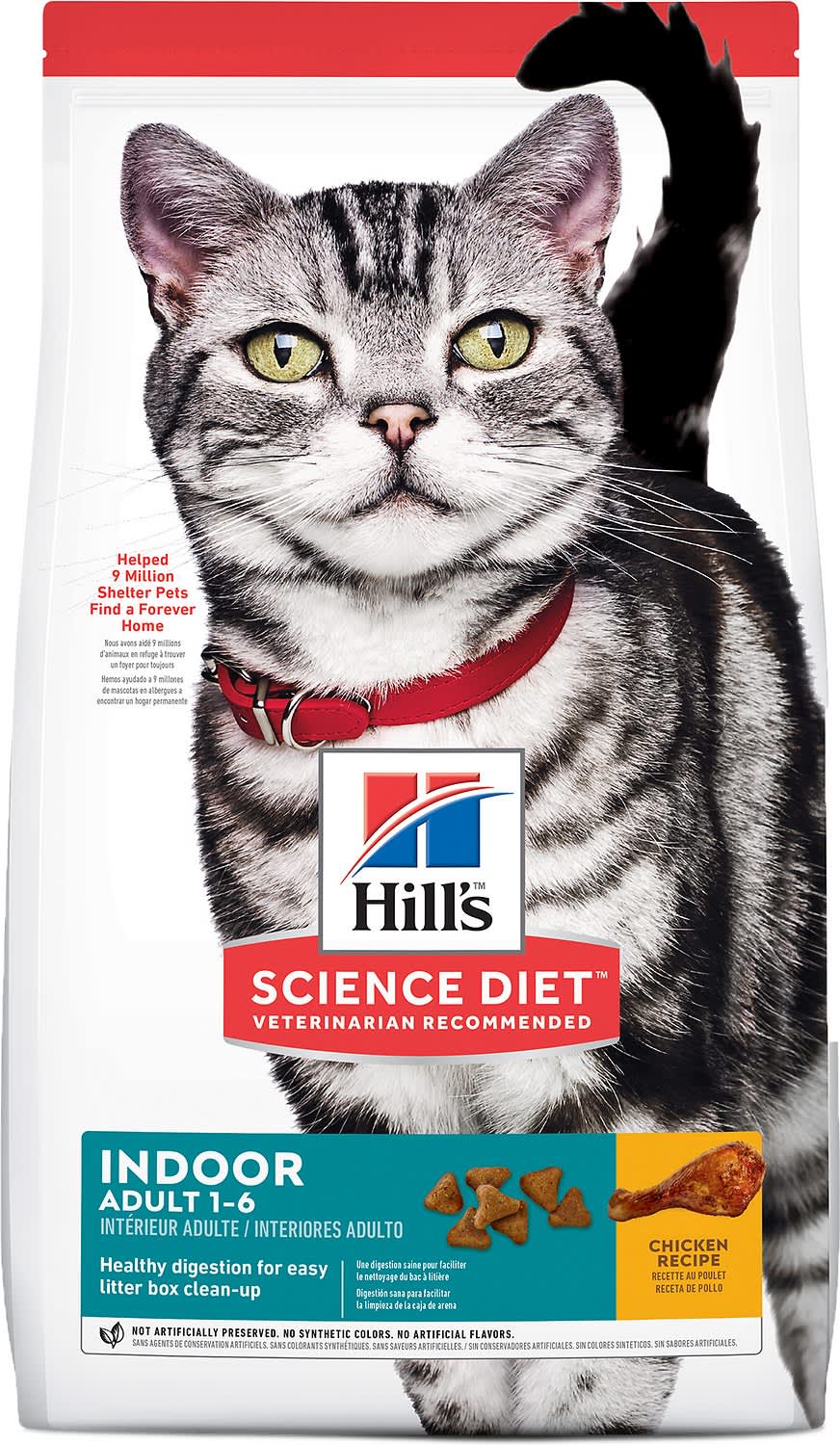 The Best Cat Foods, By Vets & Experts