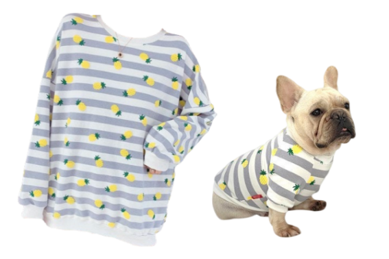 pineapple sweater dog owner set