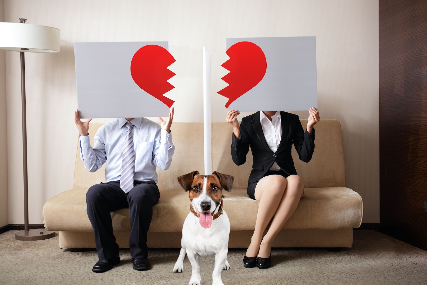 Who Gets The Dog? A Guide To Co-Parenting A Pet After A Relationship Ends