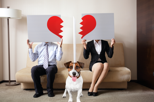 Who Gets The Dog? How To Co-Parent A Pet After A Breakup