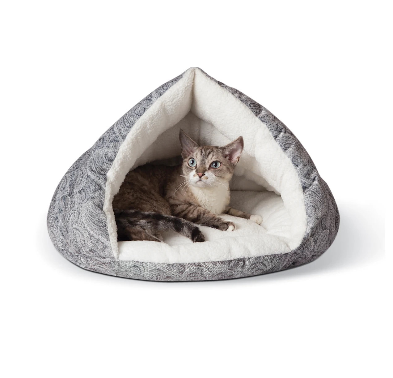 Frisco foldable discount canopy cat bed