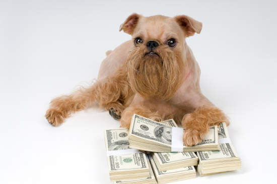 Canva - Dog and heap money