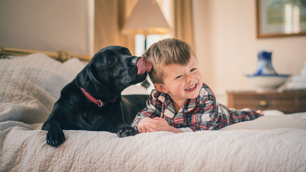 Why Does My Dog Lick Me?