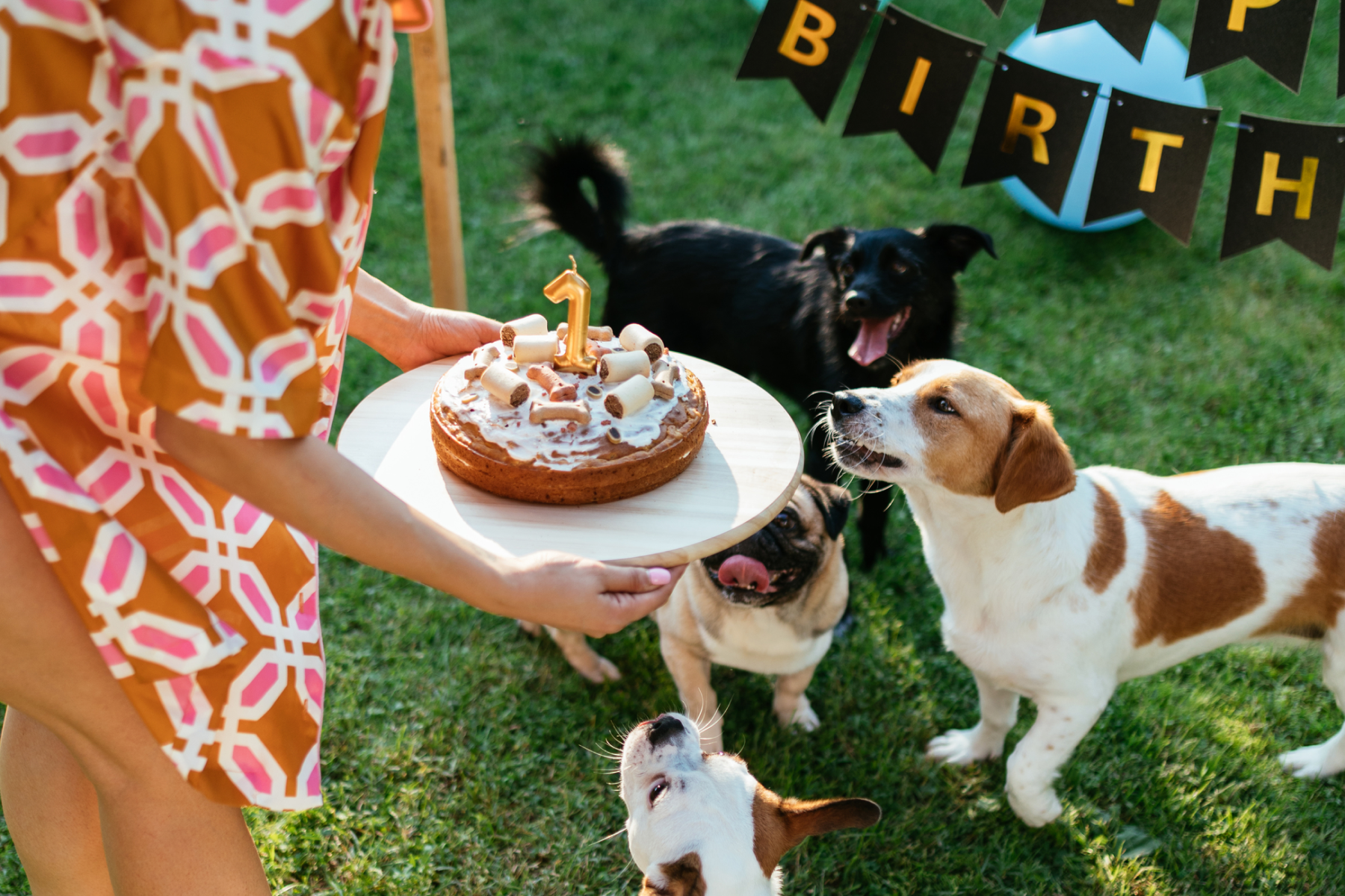 How To Throw The Best Dog Birthday Party