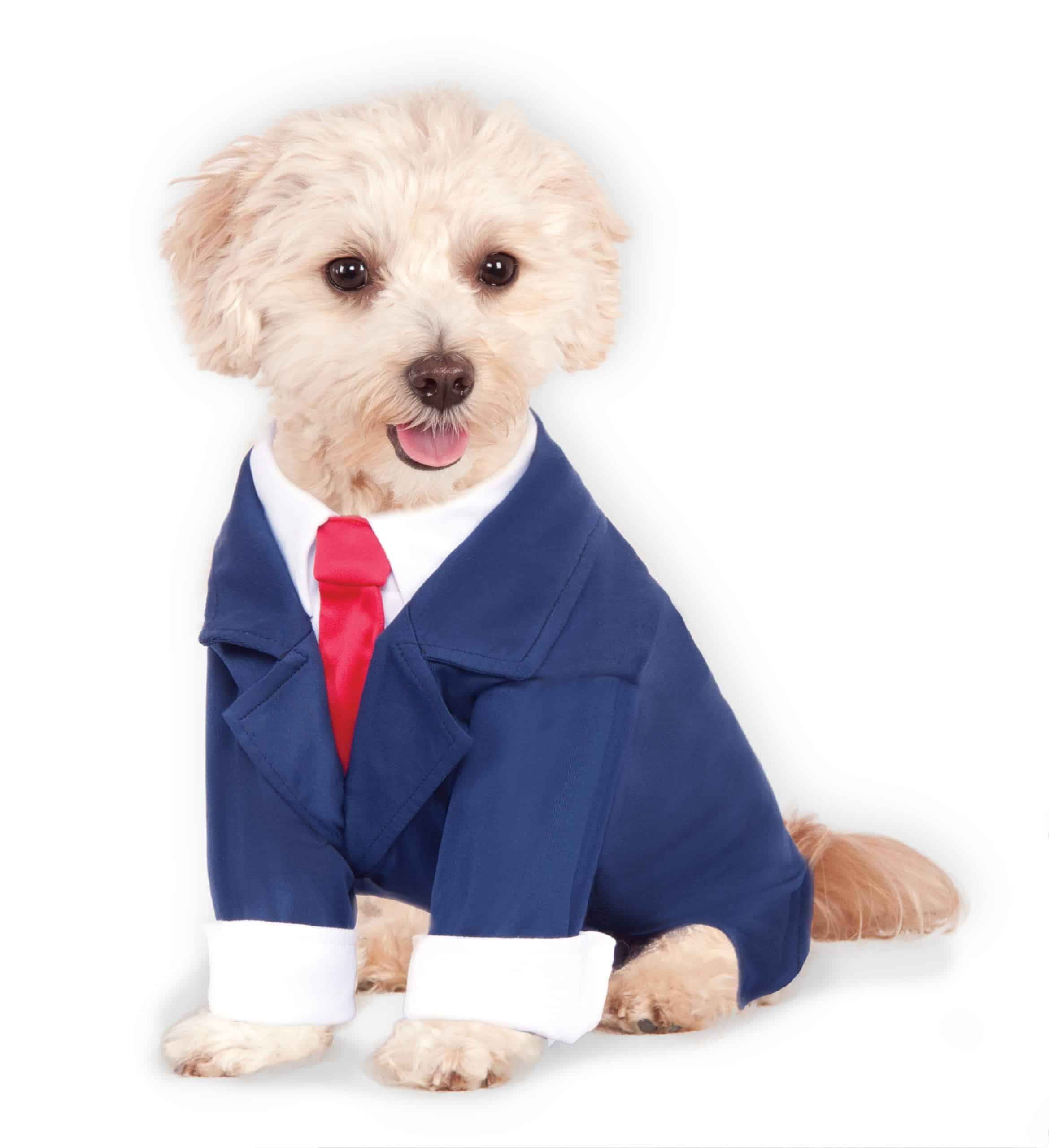 Business Dog Costume - pawp