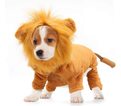 rypet lion halloween dog costume