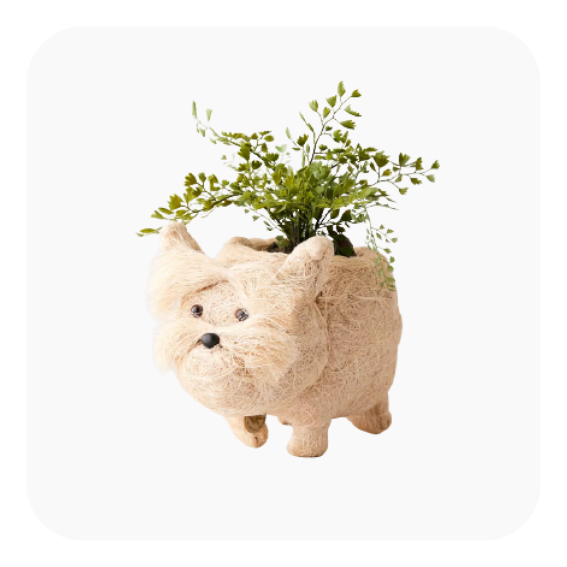urban-outfitters-dog-planter