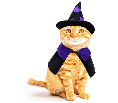 wizard cat halloween costume