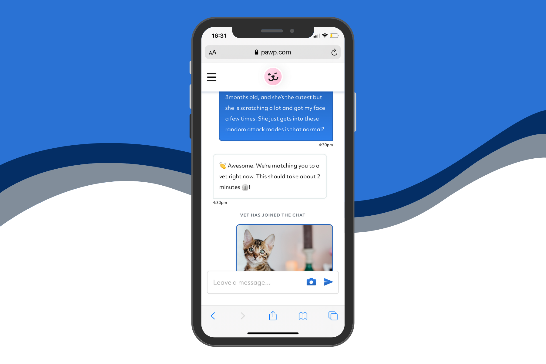 Ask A Vet: Pawp Online Vets Talk Diarrhea, Dandruff & Doggy Breath