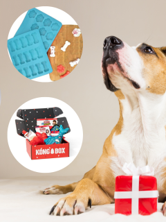 37 Gift Ideas For The Dog Lover In Your Life This Holiday Season