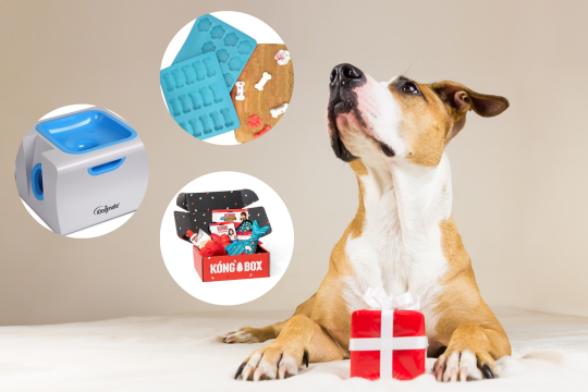 37 Gift Ideas For The Dog Lover In Your Life This Holiday Season
