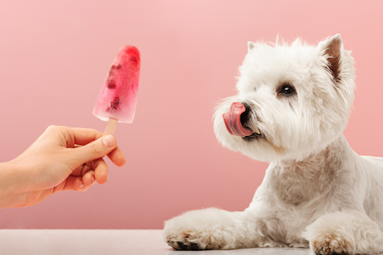 Beat The Heat: Cooling Products You Need This Summer