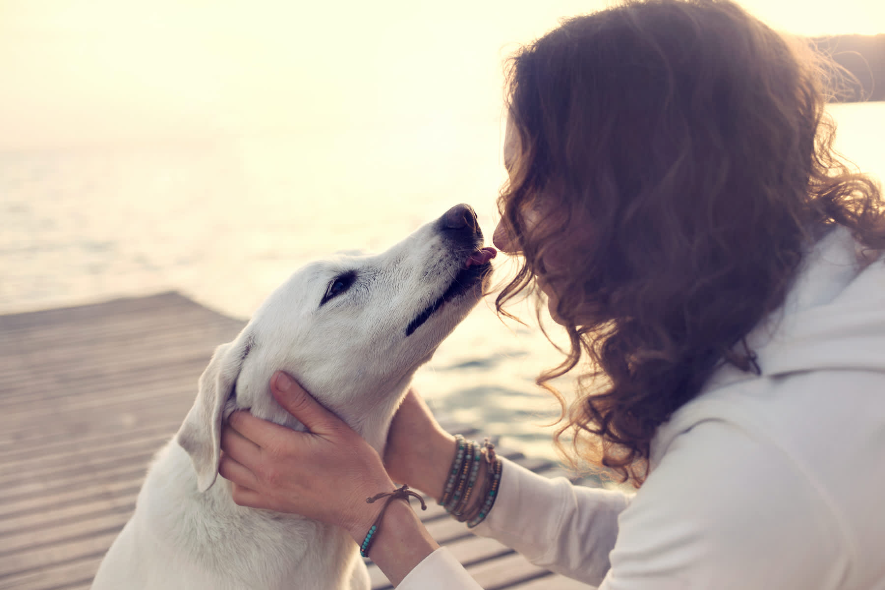 Canva - His owner dog licks gently, loving gesture
