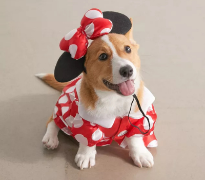 dog minnie mouse halloween costume