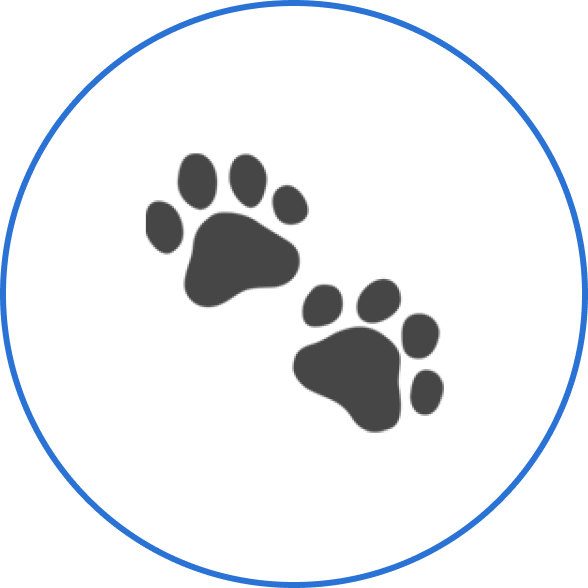 Walking
