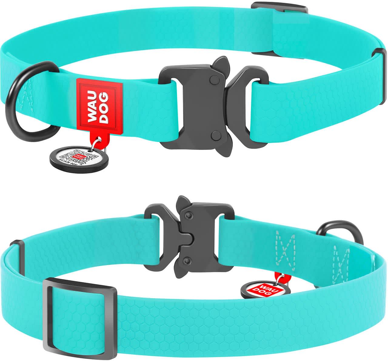 The 18 Best Collars & Harnesses For Your Dog