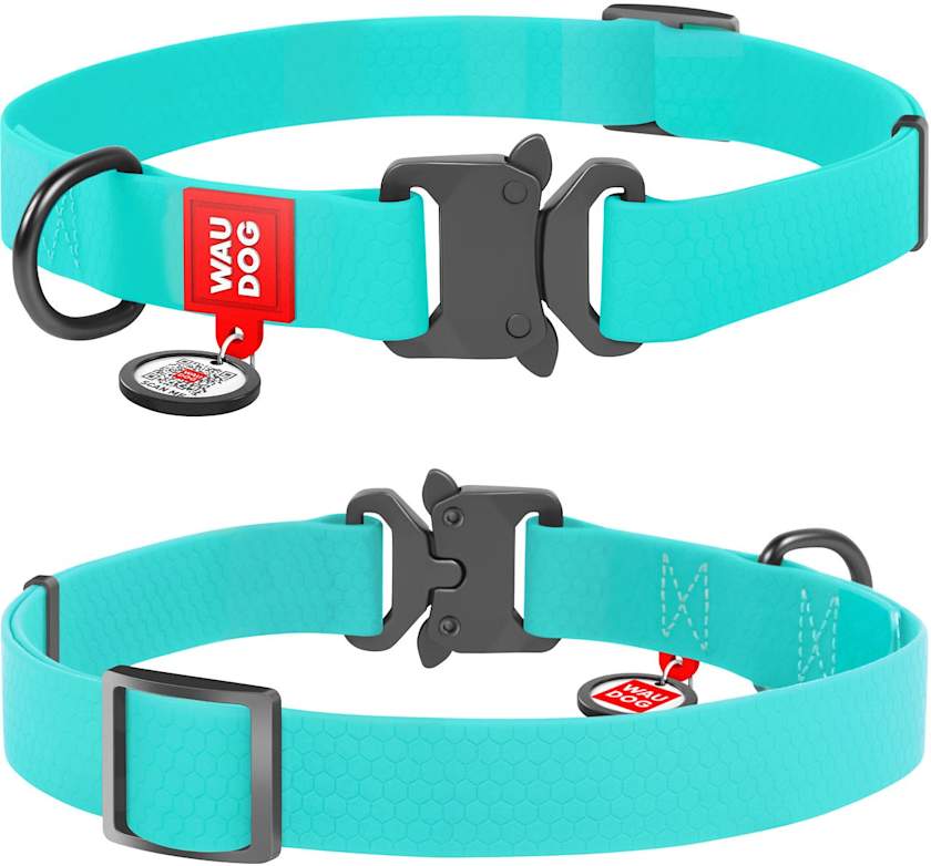 The 18 Best Collars & Harnesses For Your Dog