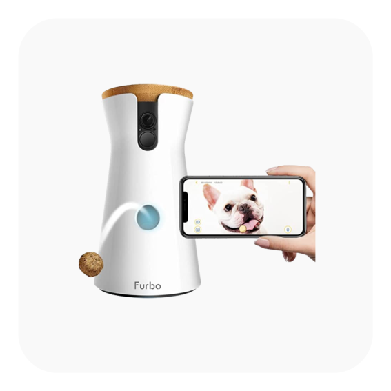 Furbo dog camera - pawp