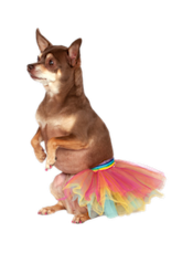 rubies-rainbow-tutu-costume
