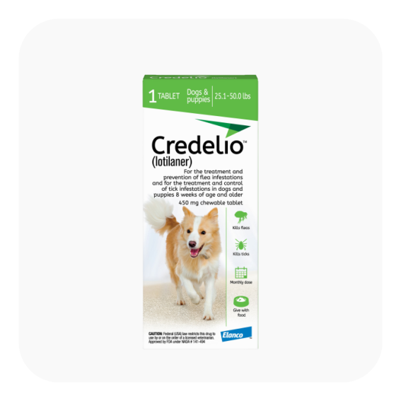 credelio flea & tick - pawp