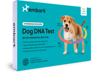 Embark Dog DNA test - pawp