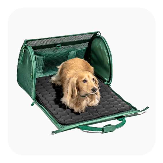 WO VM Studio PDP TravelCarrier Spruce Dog 01 Web-removebg-preview