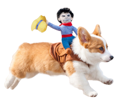 Cowboy Rider Dog Costume