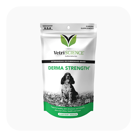 Vetri Science Everyday Health Dogs