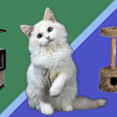 The 17 Best Cat Trees, Condos & Towers That Won't Cramp Your Decor