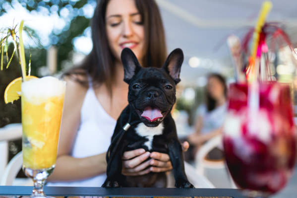 10 Best Pet-Friendly Restaurants And Bars In San Francisco