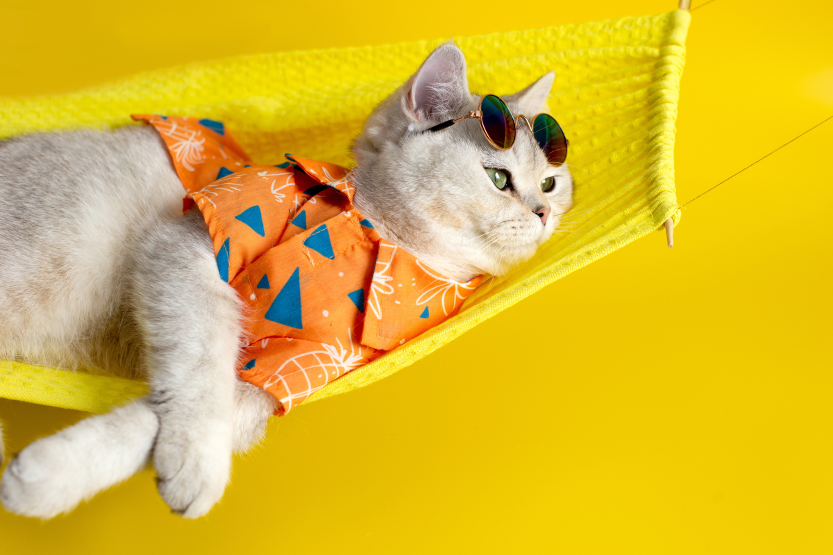 11 Human Foods That Are Toxic To Cats