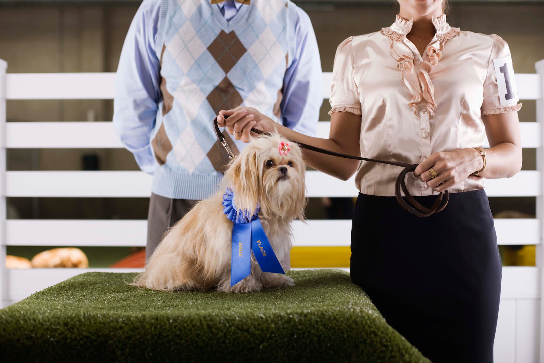 Canva - Couple with dog at a dog show